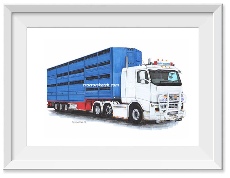 Volvo Truck & Cattle Trailer Art Print